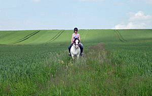 Über Wald und Wiesen